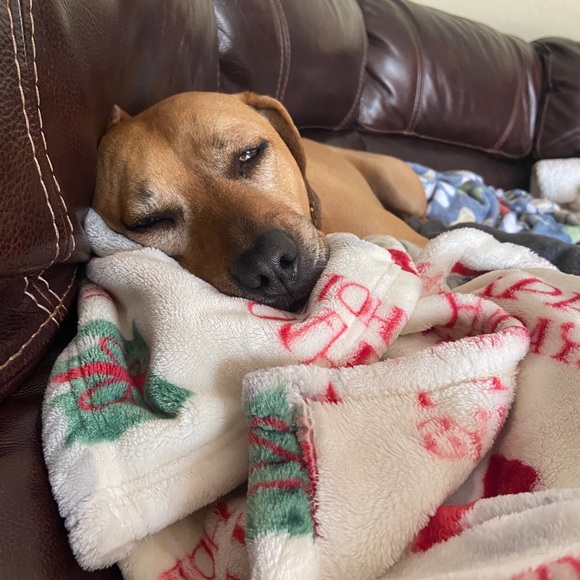 Meet your Posher, Kimberly - Picture 1 of 1